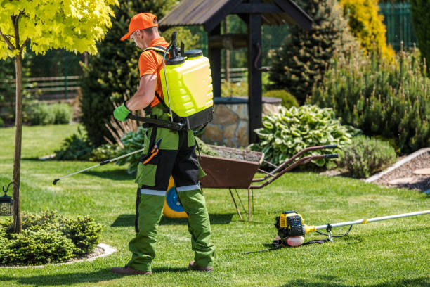 Lawn Pest Control in Linwood, PA